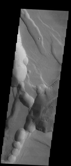 NASA image: Sulci Collapse Pits