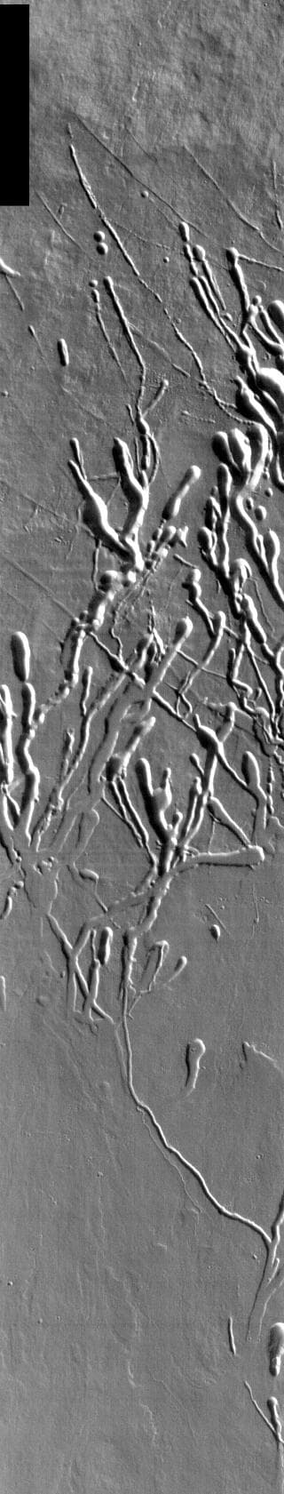 NASA image: Ascraeus Mons Collapse Pits