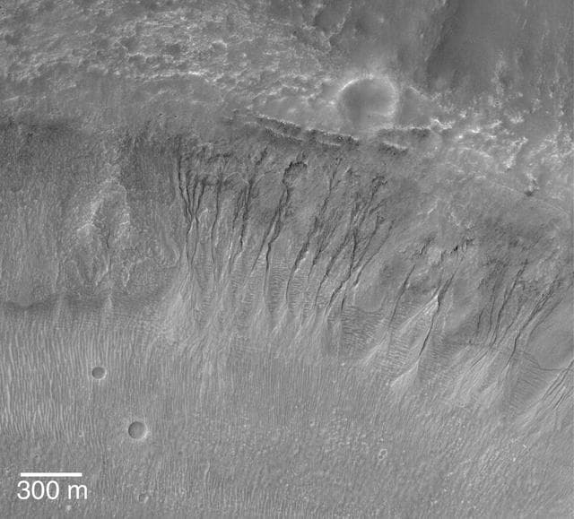 NASA image: A Gullied Crater Wall