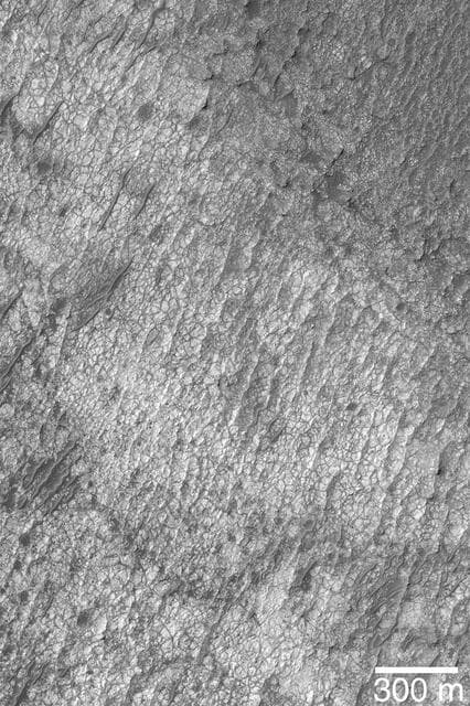 NASA image: Polygon/Cracked Sedimentary Rock
