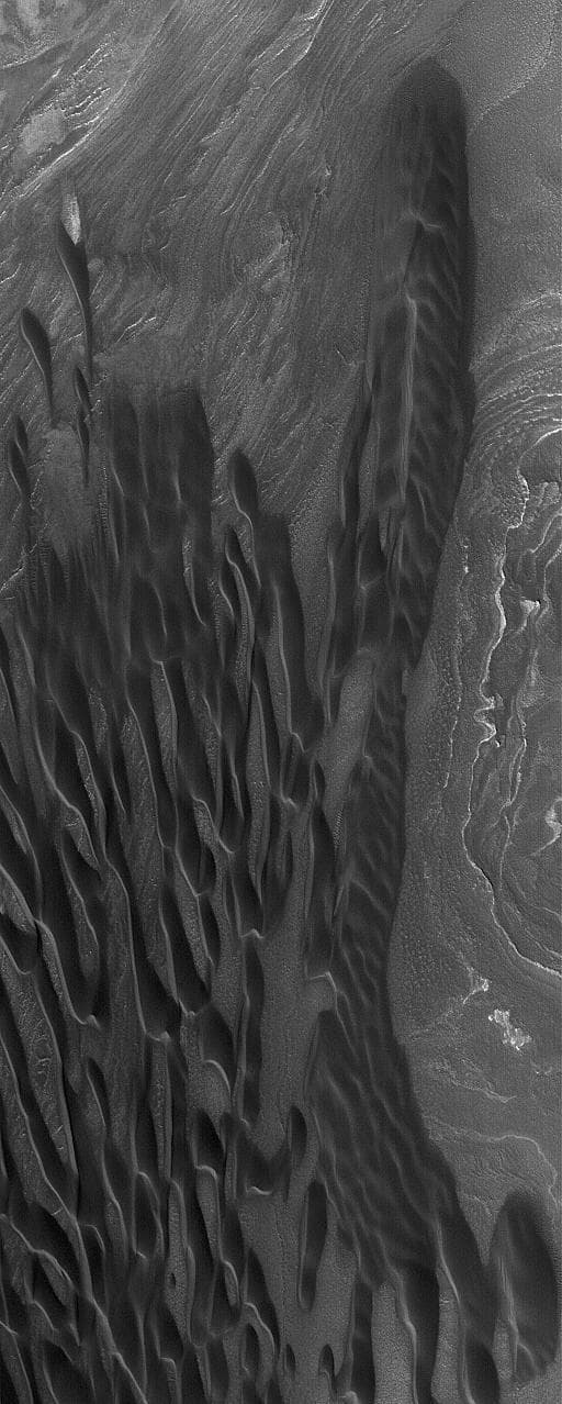 NASA image: North Polar Dunes
