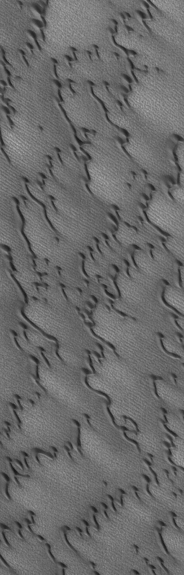 NASA image: Martian Sand Dunes