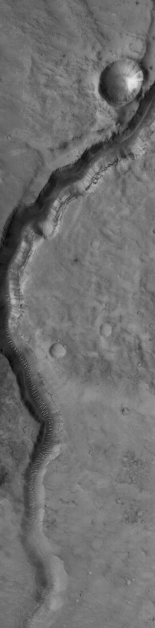NASA image: Valley near Cydonia
