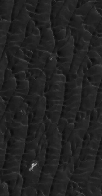 NASA image: Dark Polar Dunes