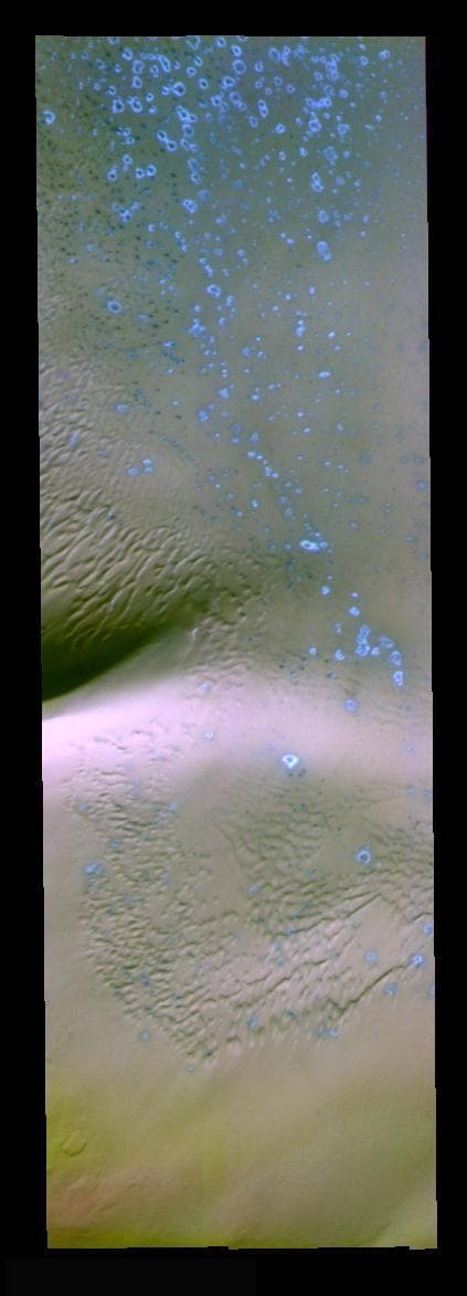 NASA image: North Polar False Color