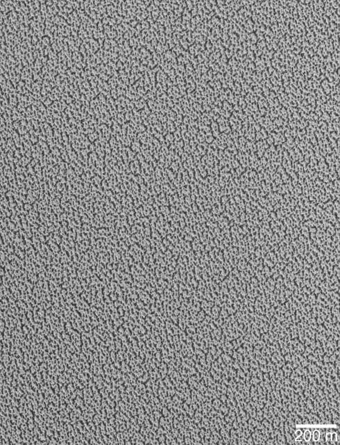 NASA image: North Polar Ice