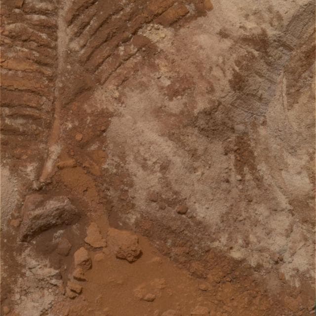 NASA image: Churned-Up Rocky Debris and Dust True Color
