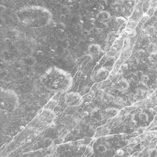 NASA image: At Carthage Linea