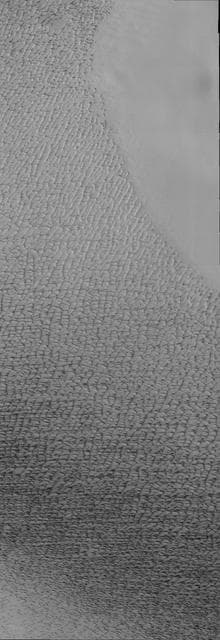 NASA image: Isolated Northern Dunes
