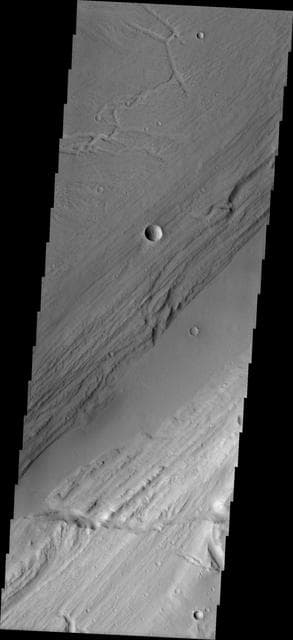 NASA image: Kasei Vallis Topography
