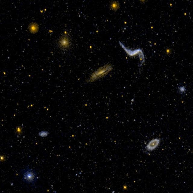NASA image: Diverse Group of Galaxy Types, NGC 3190 Field