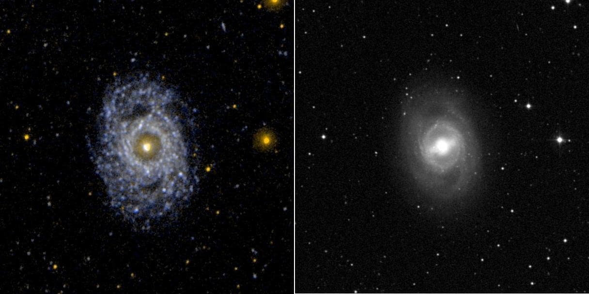 NASA image: Face on Barred and Ringed Spiral Galaxy NGC 3351