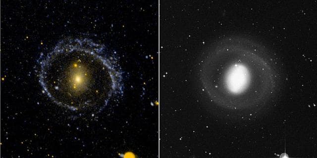 NASA image: Barred Ring Galaxy NGC 1291