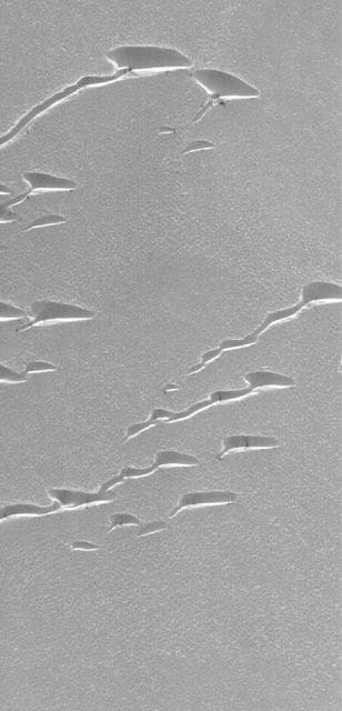NASA image: Frosty Dunes