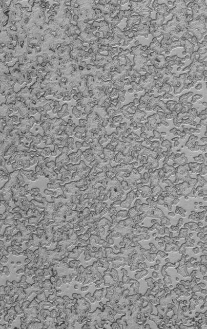 NASA image: South Polar Autumn
