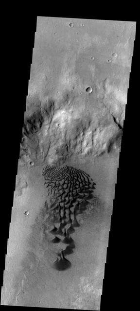 NASA image: Dunes