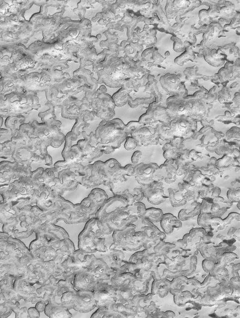 NASA image: South Polar Designs