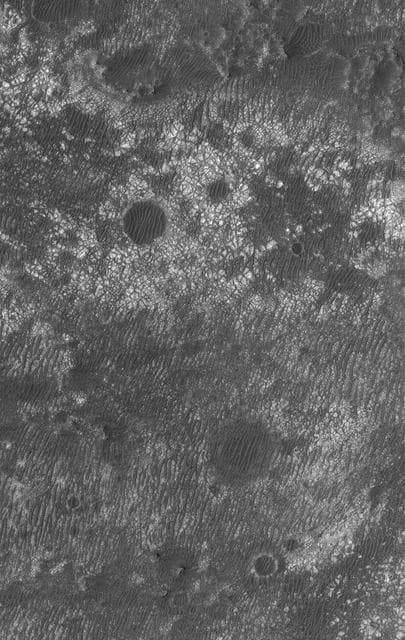 NASA image: Tiled Floor
