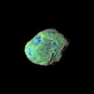 NASA image: Multicolor Hyperion