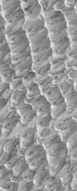 NASA image: Polar Plumage