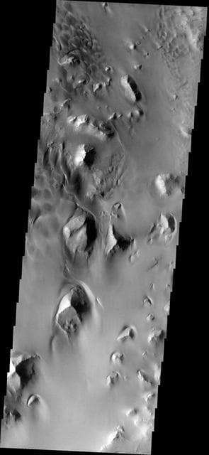 NASA image: Dune Field