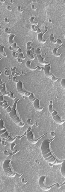 NASA image: Polar Shells