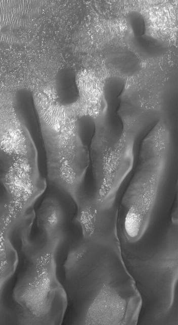 NASA image: Security Blanket