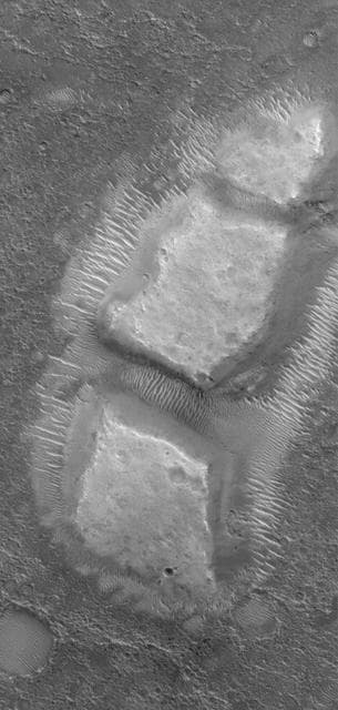 NASA image: Diced Remnant
