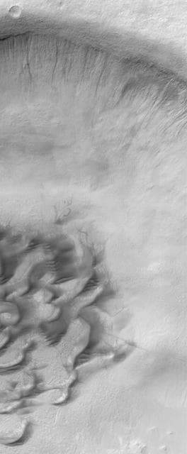 NASA image: Green Gullies