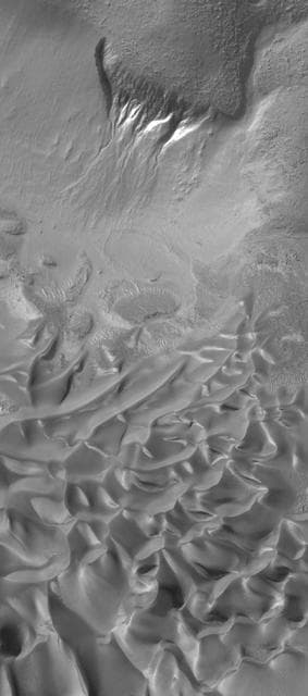 NASA image: Gullies and Dunes