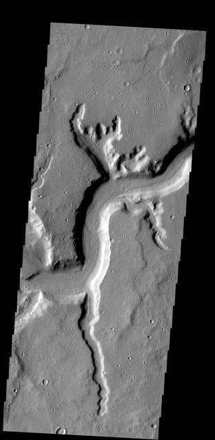 NASA image: Mamers Vallis