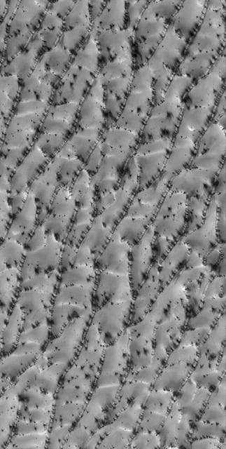 NASA image: Defrosty Dunes