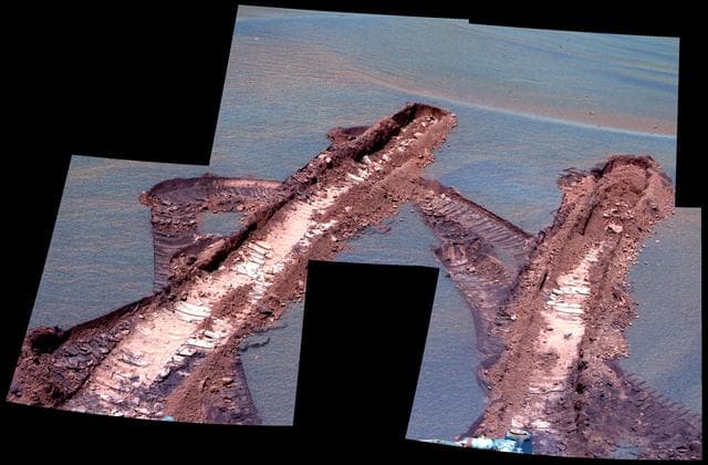 NASA image: Peering at Pesky Jammerbugt False Color