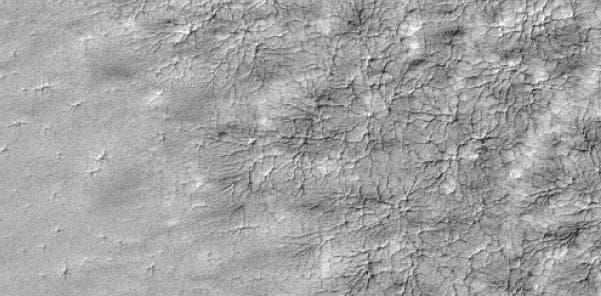 NASA image: Spider Web Pattern