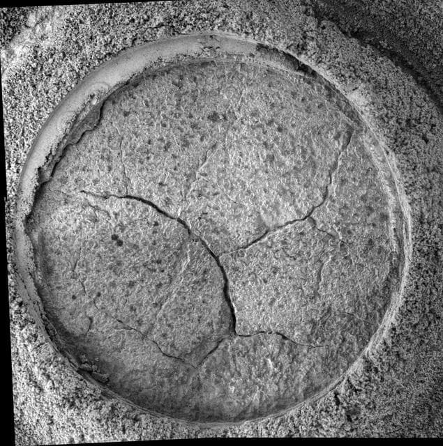 NASA image: Opportunity Takes a Last Look at Rock Exposure Before Heading to   Victoria CraterMicroscopic Imager View