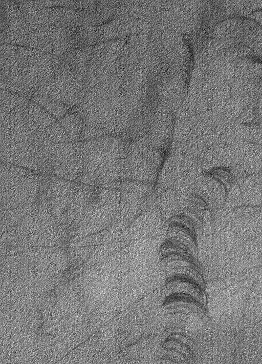 NASA image: Devil Scratches