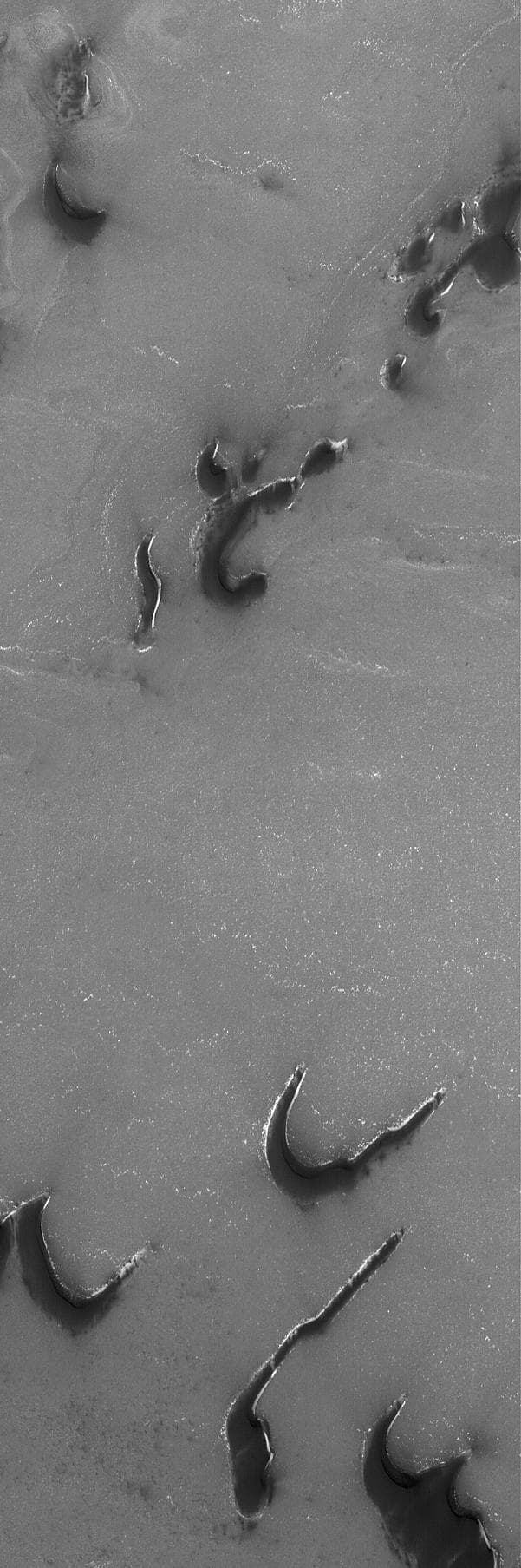 NASA image: Dark Polar Dunes