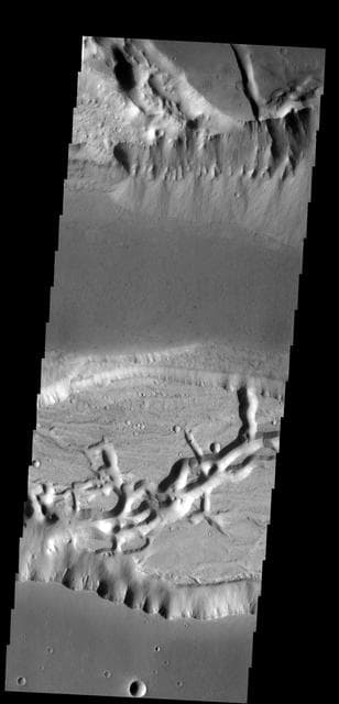 NASA image: Alluvial Fans