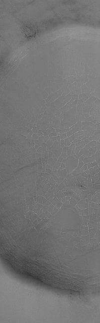 NASA image: Tiled Floor