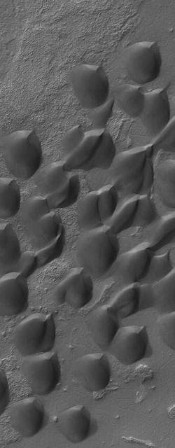 NASA image: Dunes of Wirtz
