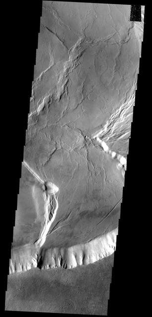 NASA image: Olympus Mons