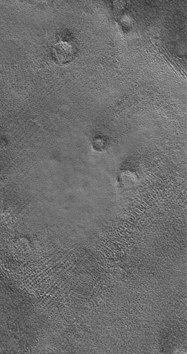 NASA image: Patterned Plains