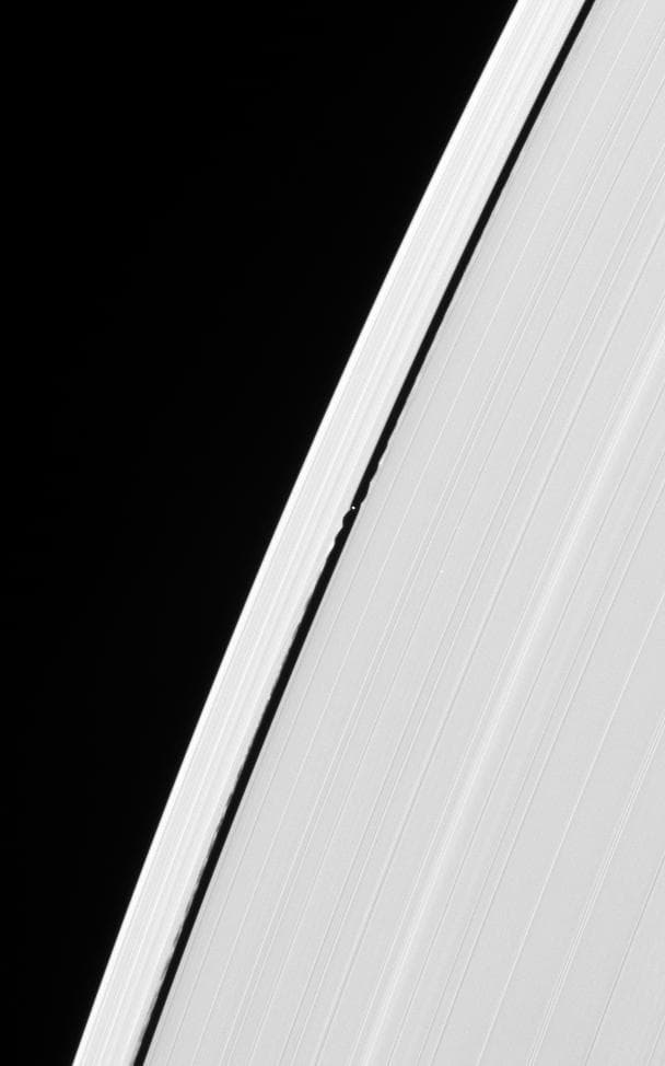 Disturbances by Daphnis