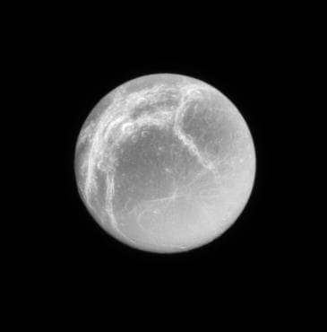 NASA image: Dionean Linea