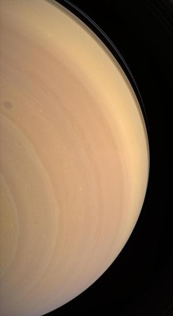 NASA image: Looking Up