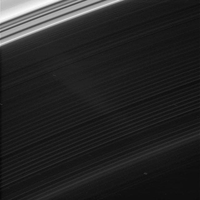 NASA image: D-Ring Structure