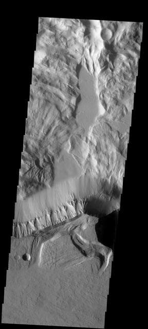 NASA image: Olympus Mons