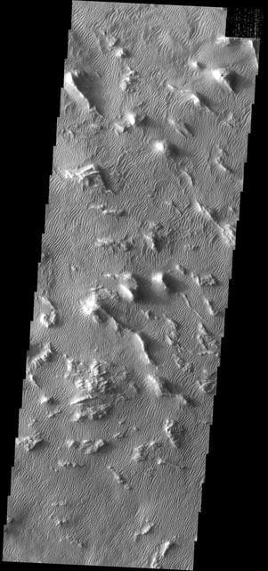 NASA image: Gigas Sulci