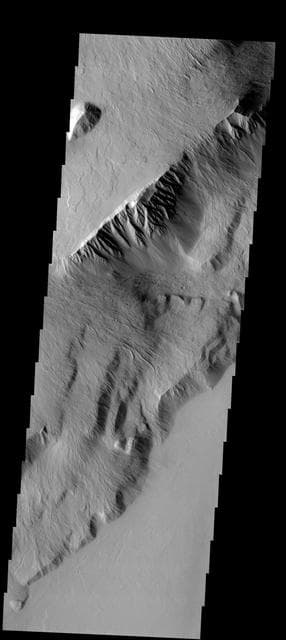 NASA image: Olympus Mons