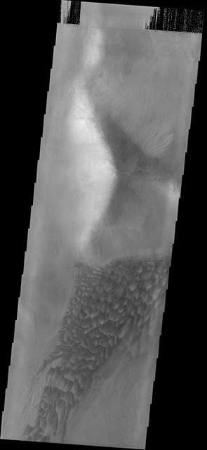 NASA image: Argyre Dunes